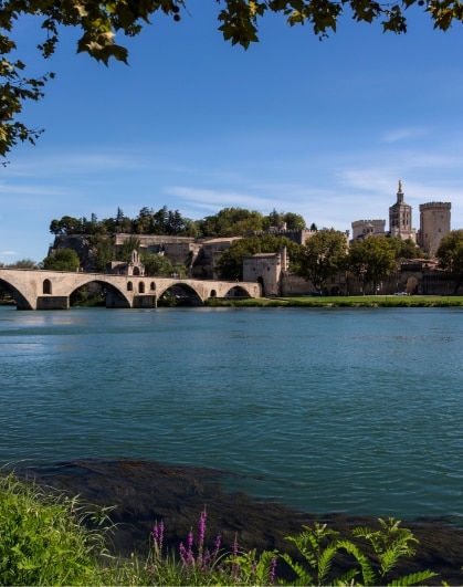 Avignon